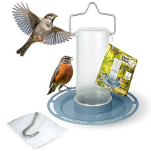 SWISSINNO Bird Waterer - Waterer “Zug” Light Blue – UV resistant bird water dispenser made of durable PC and ASA plastic – Outdoor balcony g