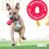 KONG KONG Wild Knots Tiger Medium/Large Dog Toy 7