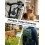 Cat Tracker Collar, Dog Tracker Compatible with iOS and Android, No Subscription Required, IP67 Waterproof, Real Time Pet GPS Tracker 6