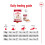 Royal Canin Royal Canin Medium Adult 15 kg 7