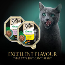 SHEBA Nature’s Collection Cat Trays Mixed Selection in Gravy 85 g, 8 Count (Pack