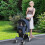 Maxmass Travel Pet Stroller, Foldable Small Medium Sized Dog Cat Trolley with St 9