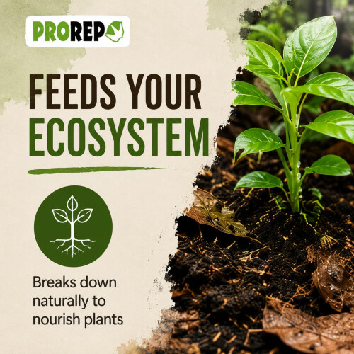 ProRep Leaf Litter Substrate Jungle 3L | Whole Natural Leaves 1