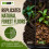 ProRep Leaf Litter Substrate Jungle 3L | Whole Natural Leaves 4