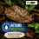 ProRep Leaf Litter Substrate Jungle 3L | Whole Natural Leaves 5