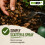 ProRep Leaf Litter Substrate Jungle 3L | Whole Natural Leaves 7