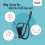 Halti Halti No Pull Harness Size Large & Halti Training Leash Size Large, Black Combin 3