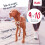 Halti Halti No Pull Harness Size Large & Halti Training Leash Size Large, Black Combin 9
