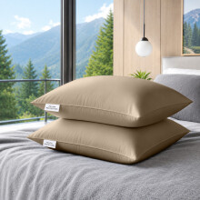 (Pack of 2, Beige) Pillow Protectors 50x75cm - 100% Microfiber Pillowcovers- Washable & Anti Allergic Designed for All Pillows