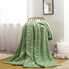 Double-Sided Fleece Throw Blanket 39.37x59.06", Soft Microfiber, Thermal AC Blanket, All-Season Plush Flannel (Green, 1pc)