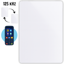 EM-23 RFID 125 kHz adgangskort