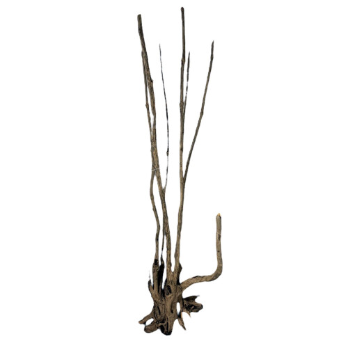 PROGROW KÆMPE TRÆ 1,5-2M 1KG