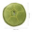 Novelty Pillow Oversized Throw Pillow Cute Design Multi 2