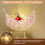 Star Light Stuffed Toy Net Hammock Portable Space-Saving 8