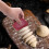 Plastic Pan Scraper Tool for Baking, Dough & Cake – Flexible Bowl Scraper, 1PC, 2.4"x2.9" 8