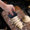 Plastic Pan Scraper Tool for Baking, Dough & Cake – Flexible Bowl Scraper, 1PC, 2.4"x2.9" 7