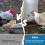 Chicken Nipple Waterer Horizontal 20 Pack 3