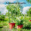 60pcs Stackable Garden Support Rings - Durable Plastic, 10-Layer Flower & Climbing Stakes for Lawn Care 8