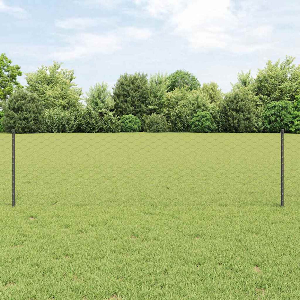 Vidaxl Welded Wire Fence 100 X 0.6 M (W X H) Pvc-Coated Steel Grey