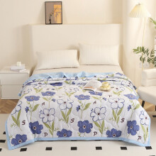 Summer Cooler Quilt, Lightweight Full/Queen, Breathable Washed Cotton, Skin-Friendly Ice Fiber Blanket – Compatible with All Seasons