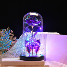 Forever Rose Luminous Flower in Glass Dome