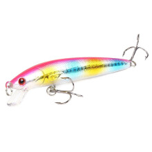 2PC Fishing Lures Jigs For Trout Sea Bass Salmon Salmon Freshwater Trout Topwater