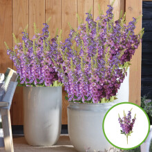 20.9" Purple Morning Glory Plastic Flower Bouquet – Artificial Outdoor Holiday Decoration, Fake Plants for Home & Garden