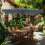 Outdoor Umbrella Canopy Rectangle 6.6 x 10 ft UV Protection 5