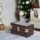 Figure Skater Doll Miniature Model Suitcase 2 pcs 4