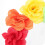 Flower Headband Plastic Ribbon Rose Shape 1 Set 6