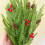 Artificial Sprig Realistic Greenery For Decor Natural Looking With Lifelike 8