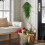 Artificial Branches Norfolk Hanging Vine Decoration 2
