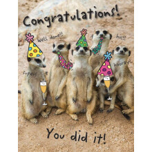 Piccadilly Greetings Humour Occasion Card Congratulations - 8 x 6 inches, beige|