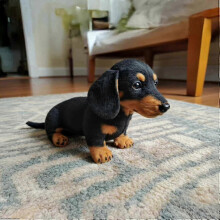 (Black Dachshund) Ultra-Soft Plush Dachshund Toy - Realistic Design, Comforting Companion for Emotional Healing and Hugging Fun