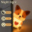 Νυχτερινό φωτάκι σιλικόνης Corgi για κοριτσίστικο υπνοδωμάτιο με τρεις 2
