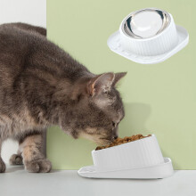 Elevated Cat Bowl, 15 Tilted Raised Cat Dog Food Bowls, Stainless Steel Food Bowl for Indoor Cat, Pets Bowls with Non-Spill & Anti-Slip Base