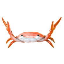 Plastic Crab and Lobster Shaped Pen Holder and Phone Stand for Office Desk