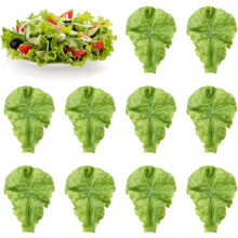 10PCS Realistic Artificial Green Lettuce Leaves, Plastic Faux Salad Decor for Kitchen, Party & Display – Compatible with Home & Commercial Use