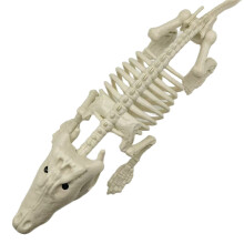 Halloween Alligator Skeleton with Movable Mouth – Gothic Crocodile Bone Sculpture for Indoor/Outdoor Haunted House Decor
