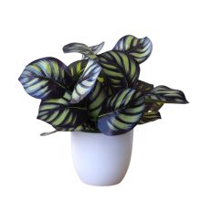 Simulare plantă ghiveci verde trandafir frunze nuntă despărțitor decorare Frunze centru comercial Verdeață copac fals peisaj iarbă