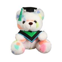Graduation Bear Class of 2024 – 9" White Plush Bear with Hat, Compatible with Kindergarten, Elementary, High School & College