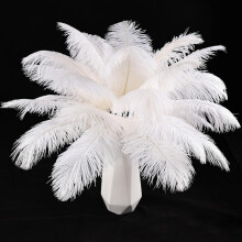 White Ostrich Feathers 12pcs Natural Bulk 8-10Inch 20cm-25cm for Crafts Wedding Party Centerpieces Christmas Tree Decoration Feathers