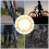 Reliable Performance Cog, Noise Reduction Durable Construction9Speed Sprocket For Mountain Bikes With Precision Thread Processing And Anti 6