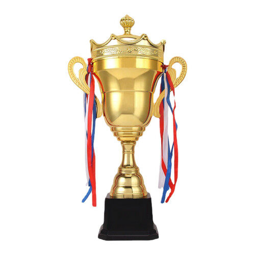 Trophy Cup Prize Metal Keepsake 29cm