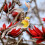 Σετ δώρου Bird Lovers, διακοσμητικά κρεμαστά στολίδια: Ενθουσιάστε τις αισθήσεις με 4