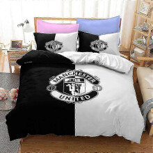 (Super King 260x220cm, ZX29) Anime series 3D digital printing basketball series down and brushed bedding three-piece set