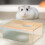 Pet Hamster Sand Bath Box – Clear Digging Container, Compatible with Gerbil & Rabbit Cages 4