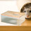 Pet Hamster Sand Bath Box – Clear Digging Container, Compatible with Gerbil & Rabbit Cages 5