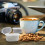 Water Filter Cartridges for Mr. Coffee 12-Pack 7