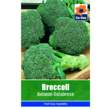 Broccoli Autumn Calabrese Seeds 195 Seeds Vegetable Grow Your Own Garden